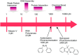 Figure 22