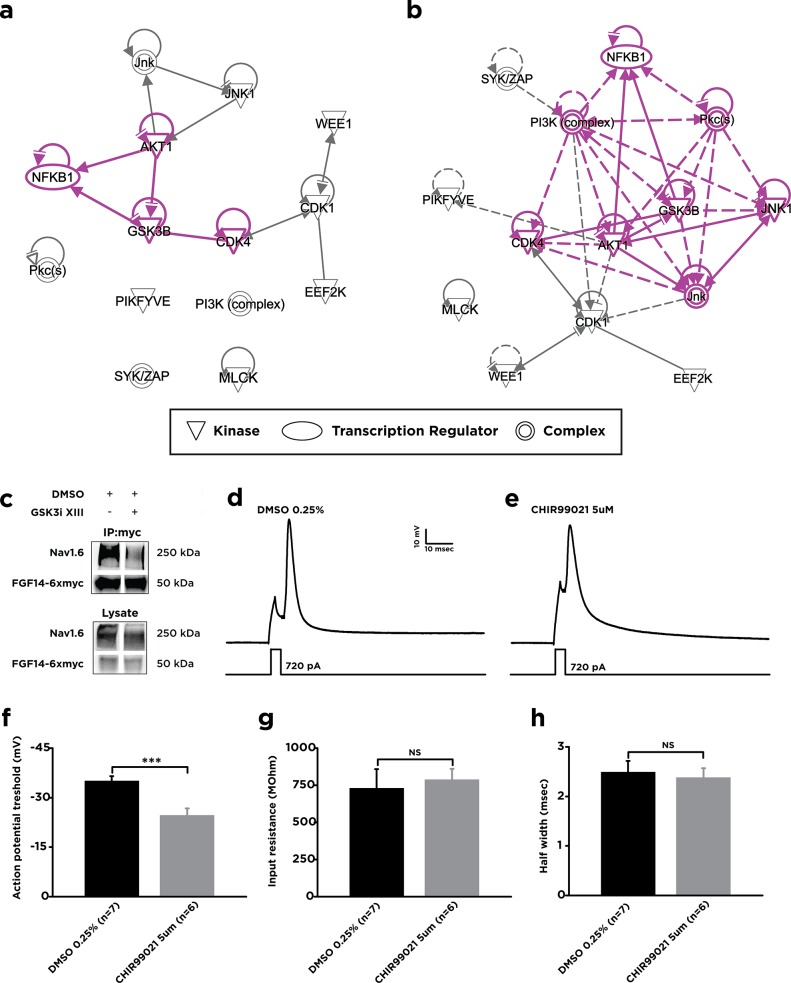 Fig 8