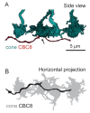 Figure 3—figure supplement 3.