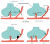 Figure 2—figure supplement 1.