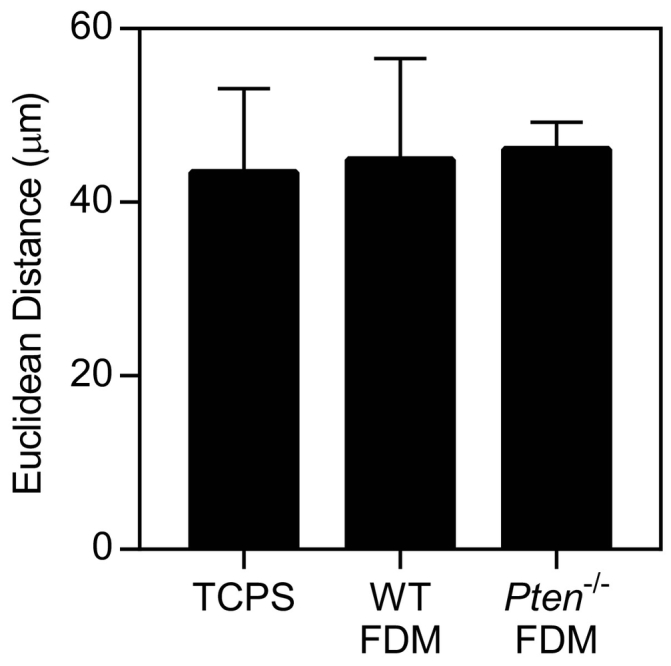 Supplemental Figure 3