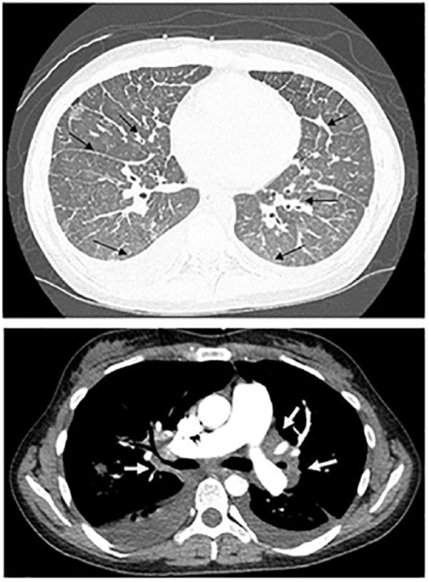 Figure 1.