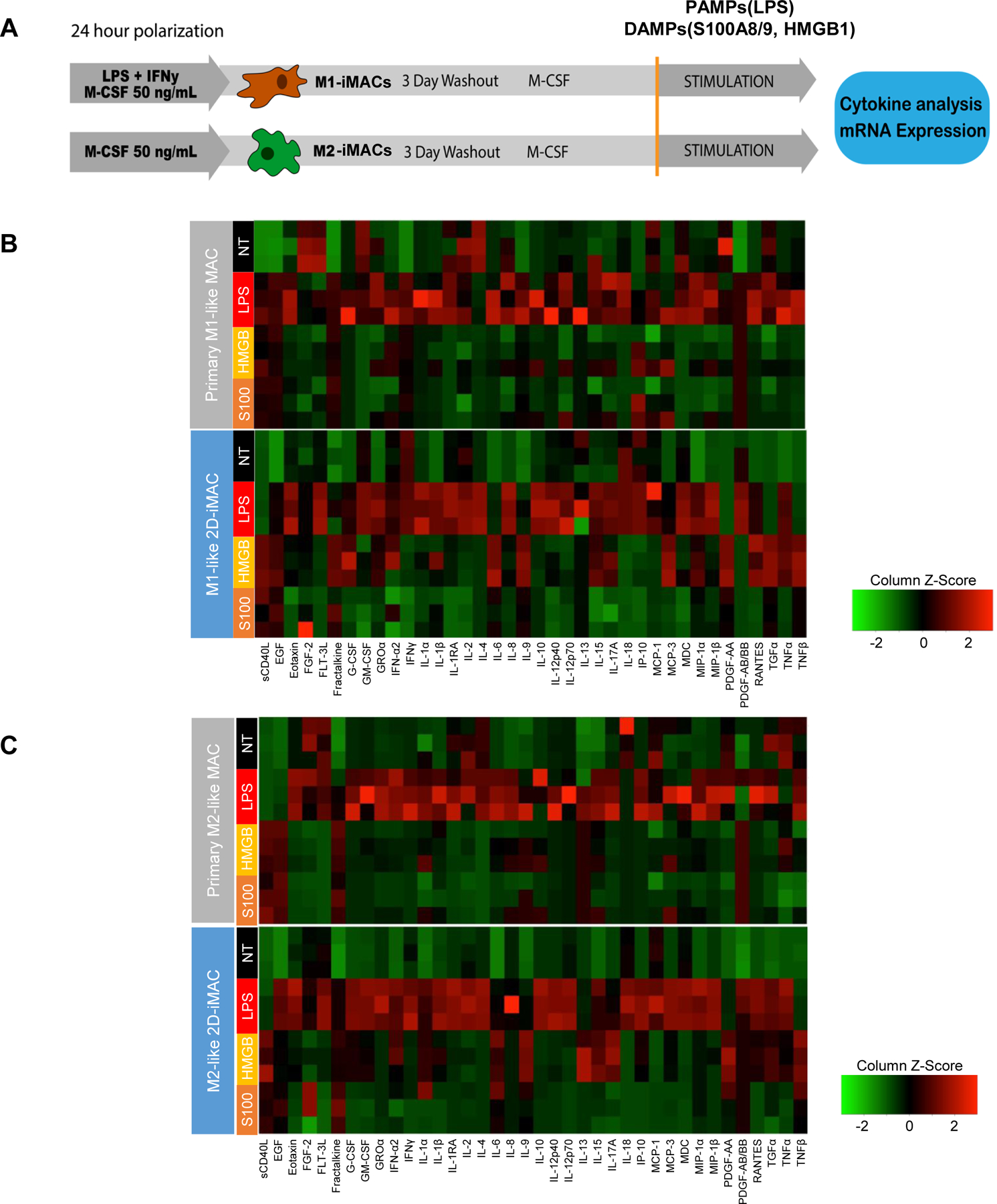 Figure 4.