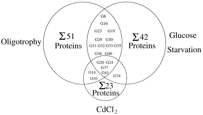 FIG. 5