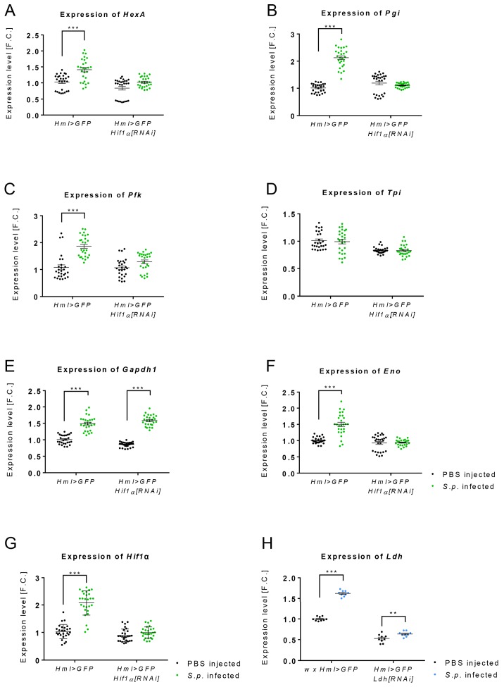 Figure 4—figure supplement 1.