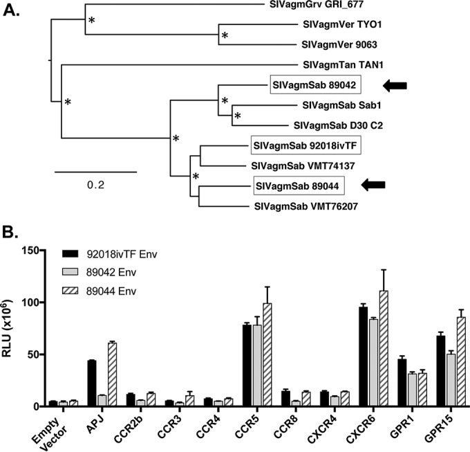 FIG 2