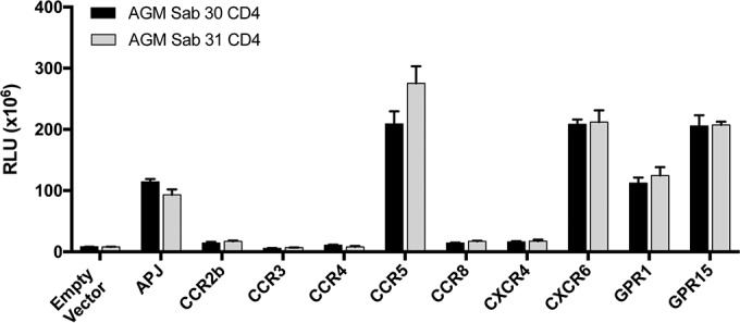 FIG 1