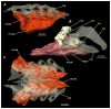 Figure 36