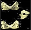 Figure 15
