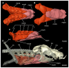 Figure 35