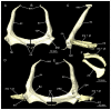 Figure 41