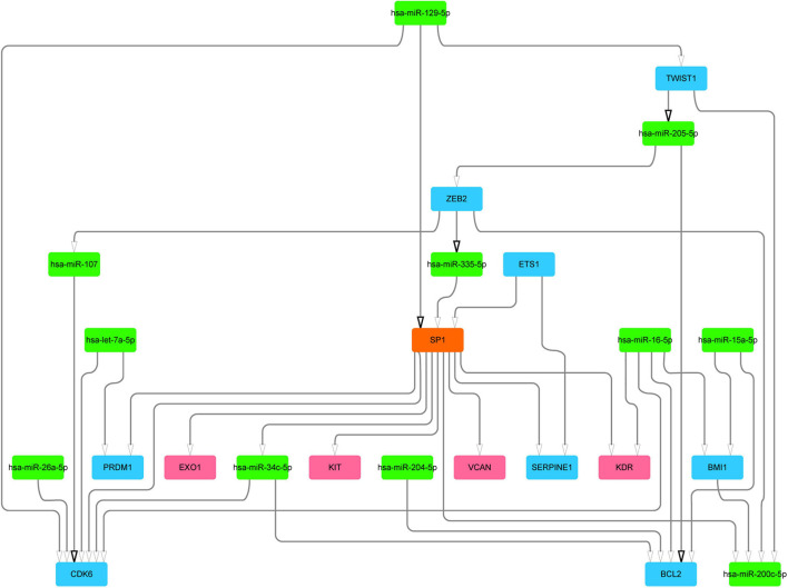 FIGURE 3