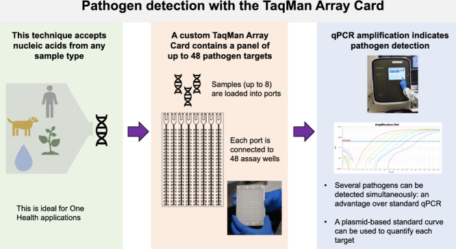 Image, graphical abstract