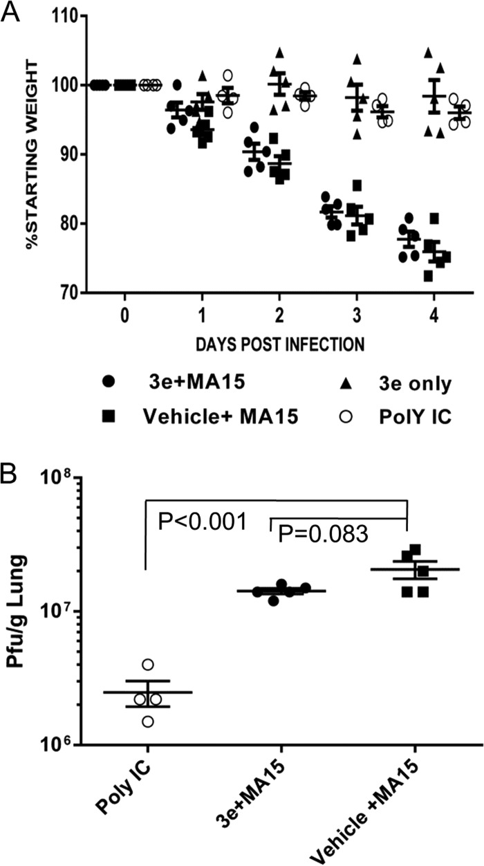 FIG 6