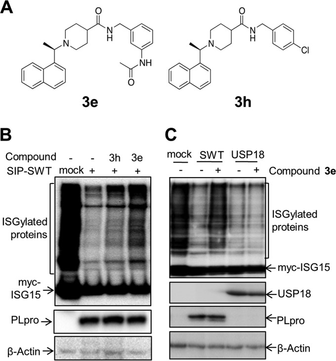 FIG 4