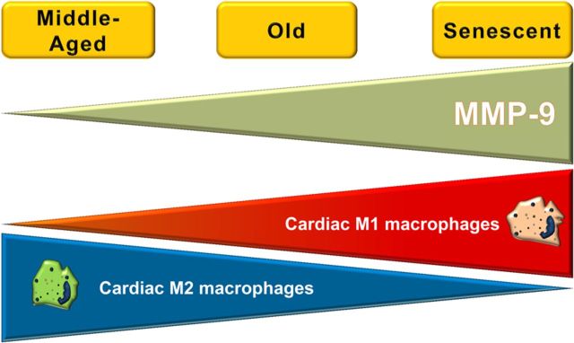 Figure 5