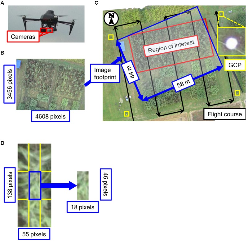 FIGURE 2