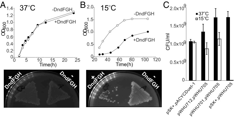 Fig. 4.