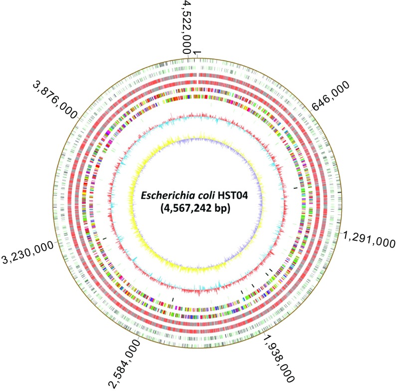 Fig. 3.