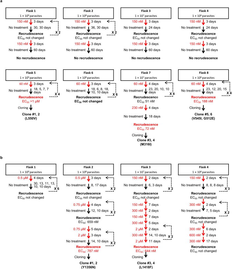 Extended Data Figure 2