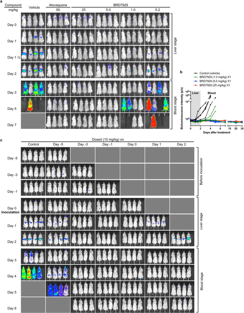 Extended Data Figure 4