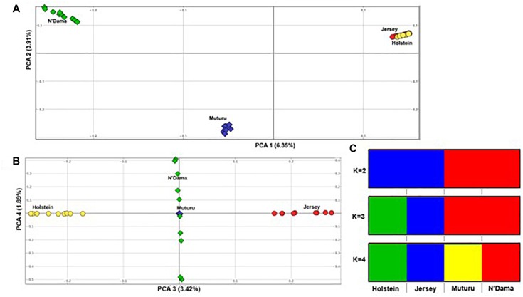 FIGURE 3