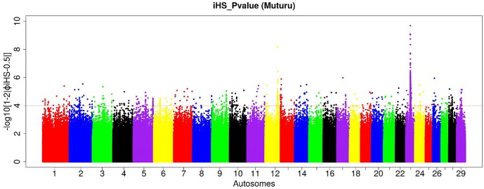 FIGURE 4