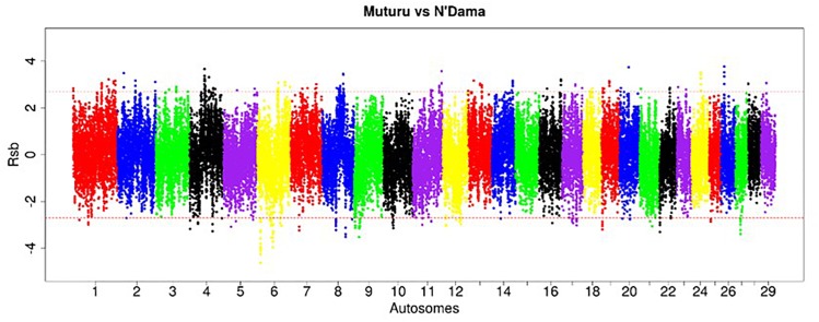 FIGURE 5