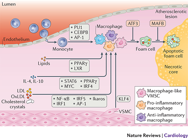 Figure 3: