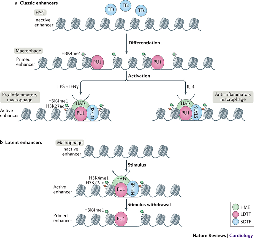 Figure 2: