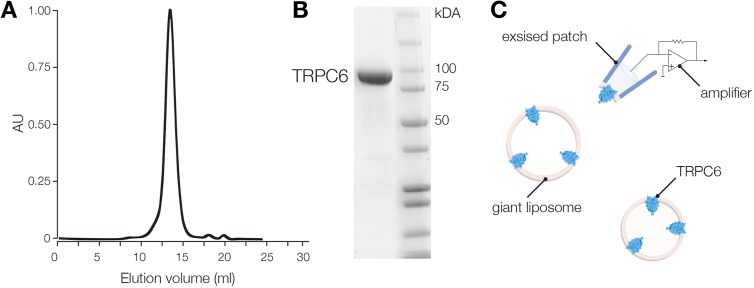 Fig. 3.