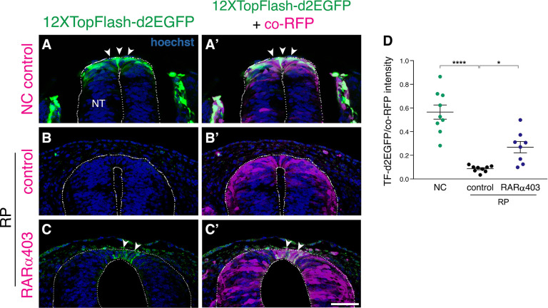 Figure 2—figure supplement 2.