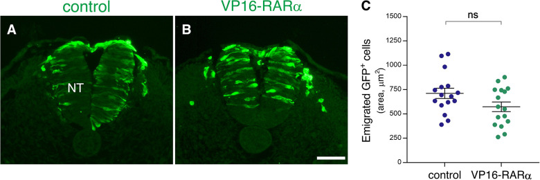 Figure 5—figure supplement 3.