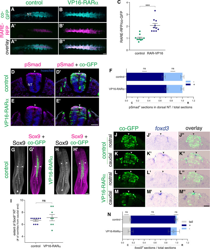 Figure 5—figure supplement 2.