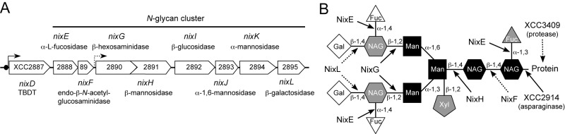 FIG 6 