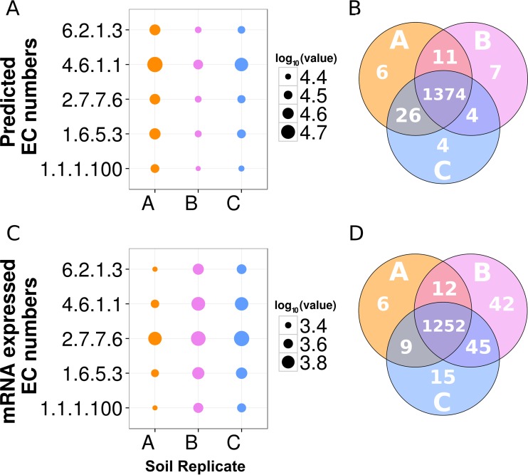 FIG 3 