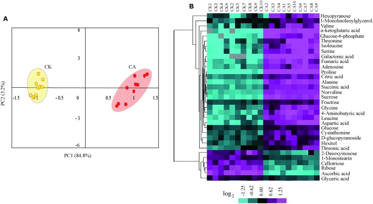 FIGURE 3