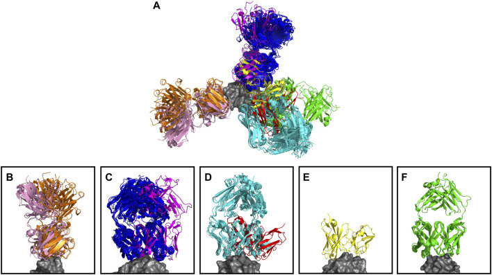 FIGURE 4