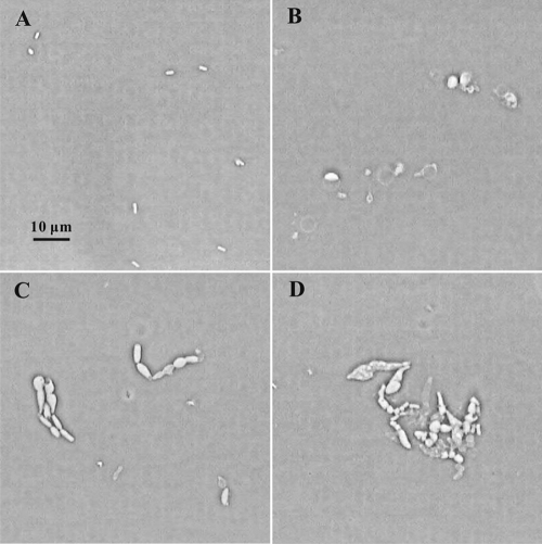 FIG. 7.