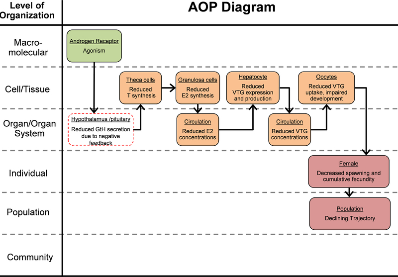 Figure 2: