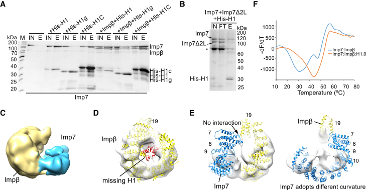 Figure 3