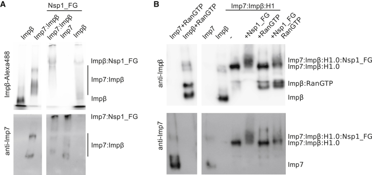 Figure 5