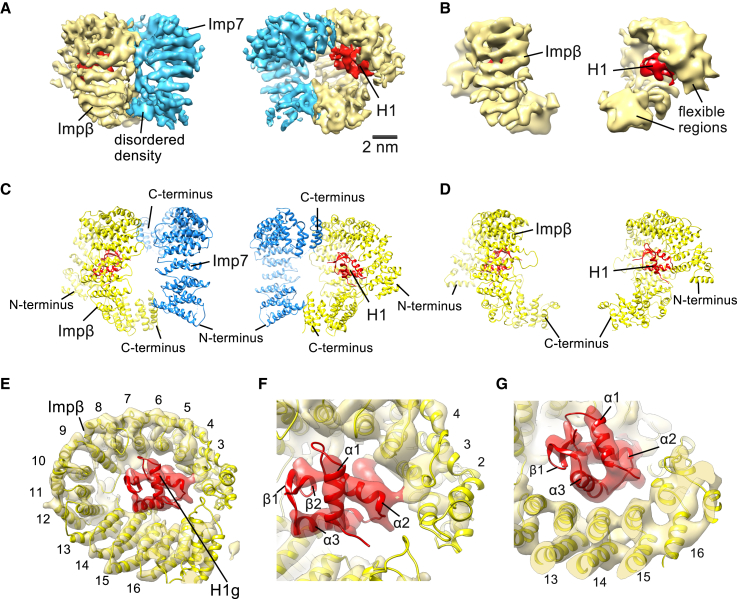 Figure 1