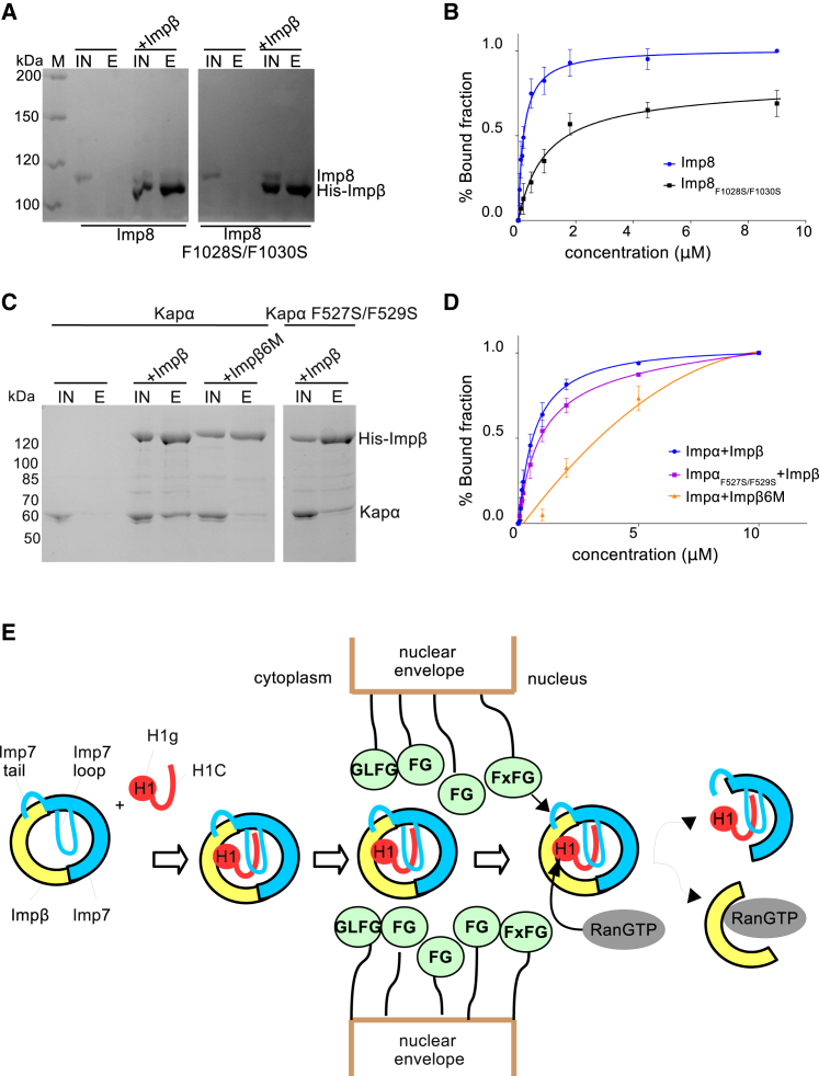 Figure 6