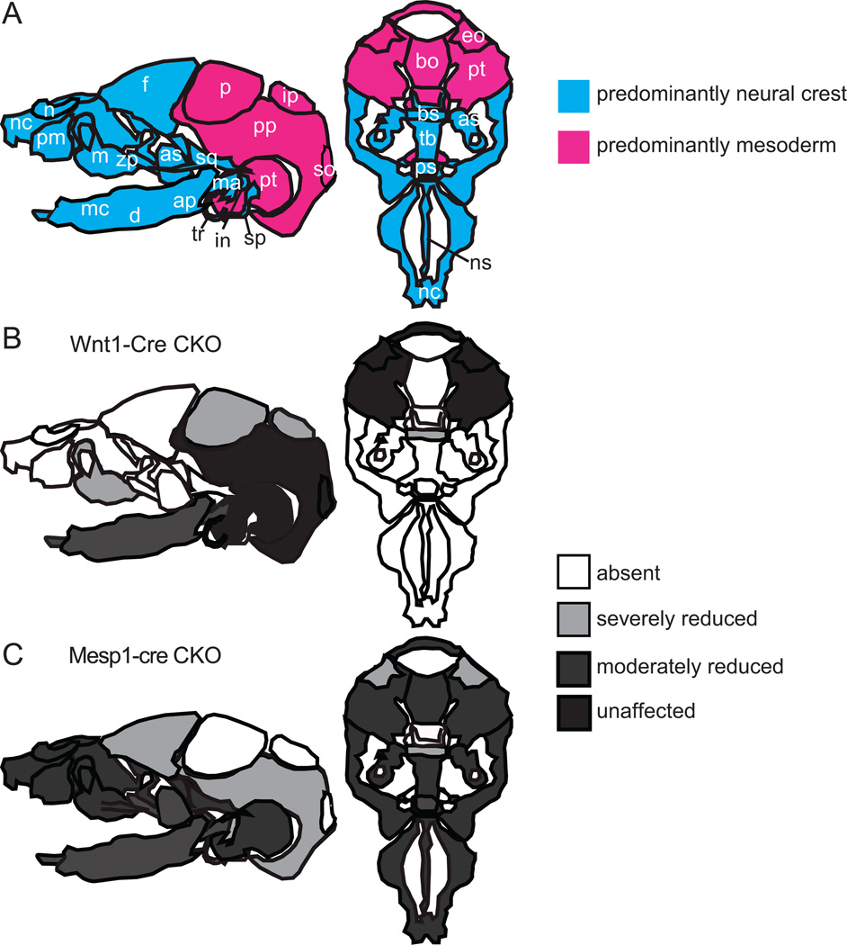 Fig. 8