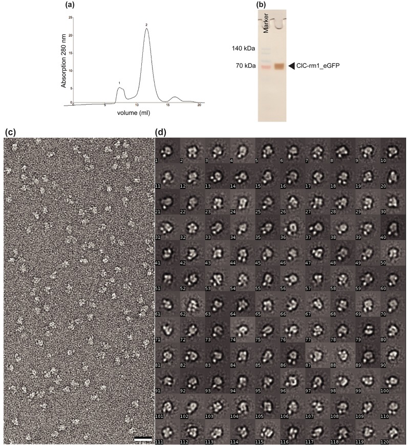 Fig 8