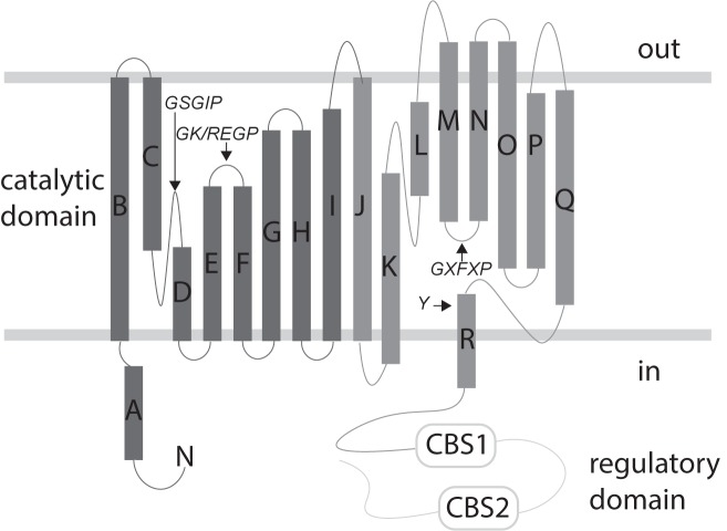 Fig 1