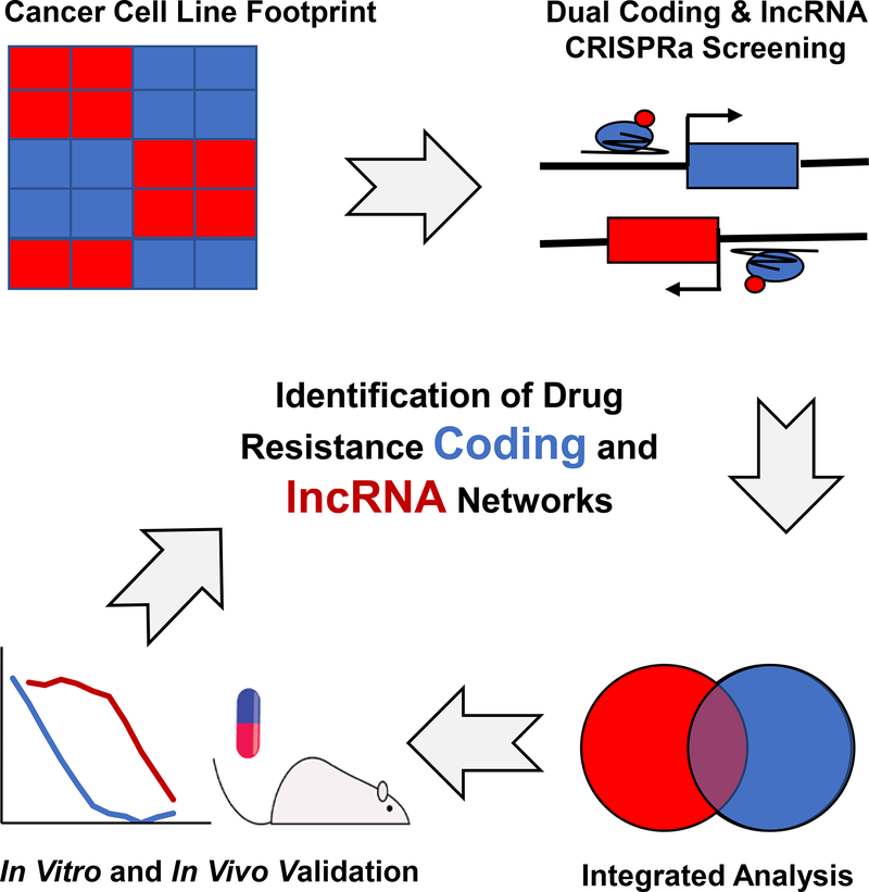 graphic file with name nihms-960108-f0008.jpg