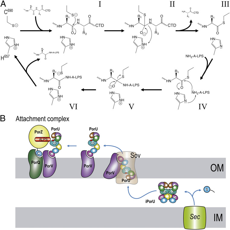 Fig. 6.