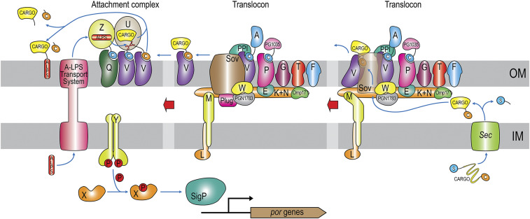 Fig. 1.